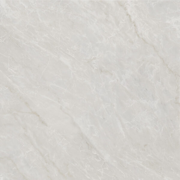 Ceramica Scop - REGINA PLATA - 45x45